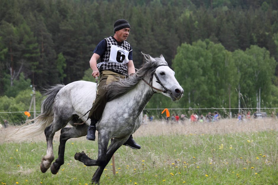 Man riding a grey horse in a competitive outdoor event